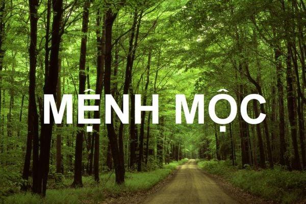 Một số gợi ý khi lựa chọn nội thất phòng khách cho người mệnh Mộc