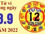 Tử vi hôm nay, xem tử vi 12 con giáp ngày 7/9/2022: Tuổi Tuất tài chính thường xuyên hao hụt