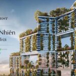 Khu căn hộ cao cấp Sky Forest Ecopark - Vẽ thiên nhiên lên bầu trời - Ecopark city